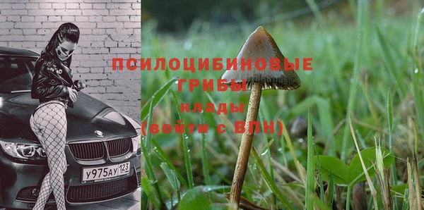 меф Медногорск